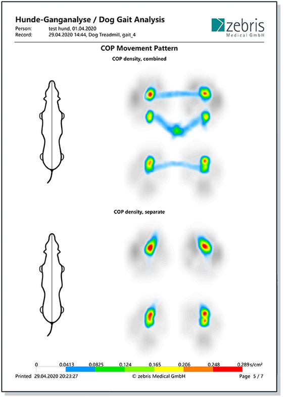 COP 运动模式报告