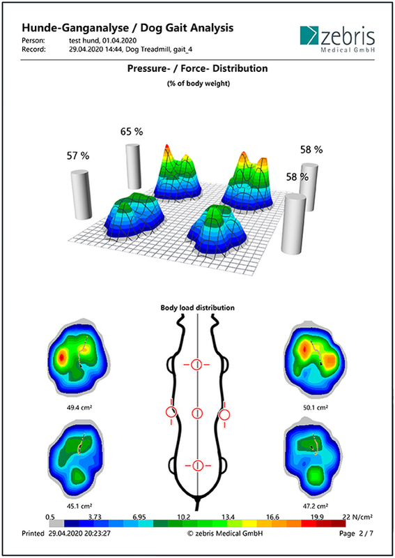 压力/力分布报告
